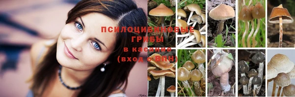 альфа пвп Новочеркасск