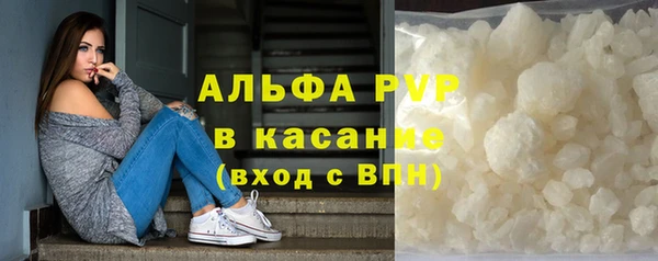 СК Волгодонск