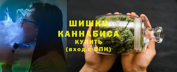 амф Мегион