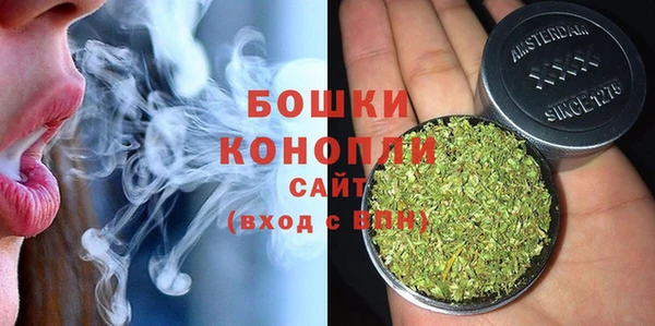 амф Мегион