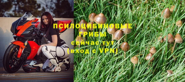 apvp Медвежьегорск