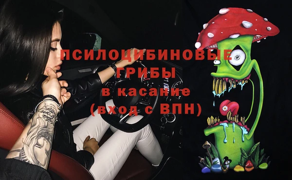 apvp Медвежьегорск