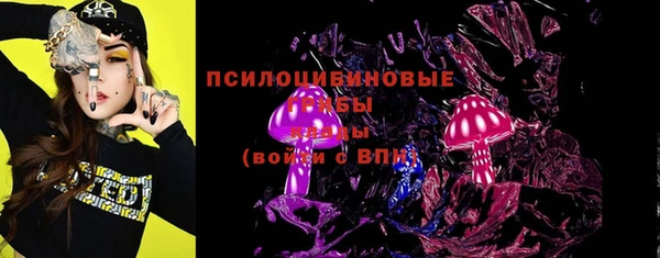 apvp Медвежьегорск