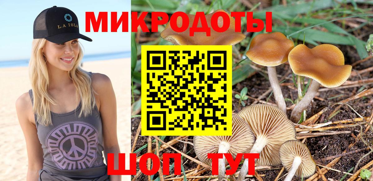 Псилоцибиновые грибы ЛСД Владивосток