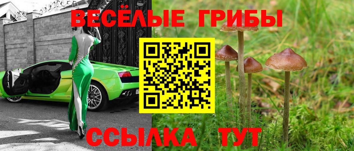 Галлюциногенные грибы Magic Shrooms  Вход с VPN  Галлюциногенные грибы Cubensis  Владивосток 